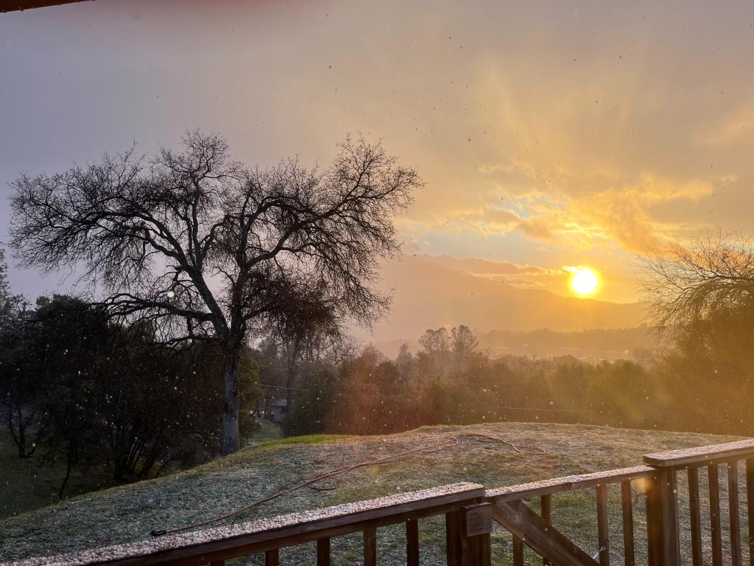 40733 Big Oak Flat Road North Oakhurst, CA 93644 - Photo 69 of 73