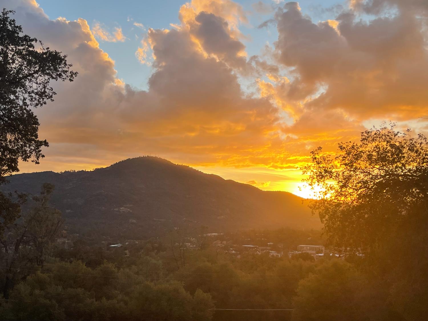 40733 Big Oak Flat Road North Oakhurst, CA 93644 - Photo 71 of 73