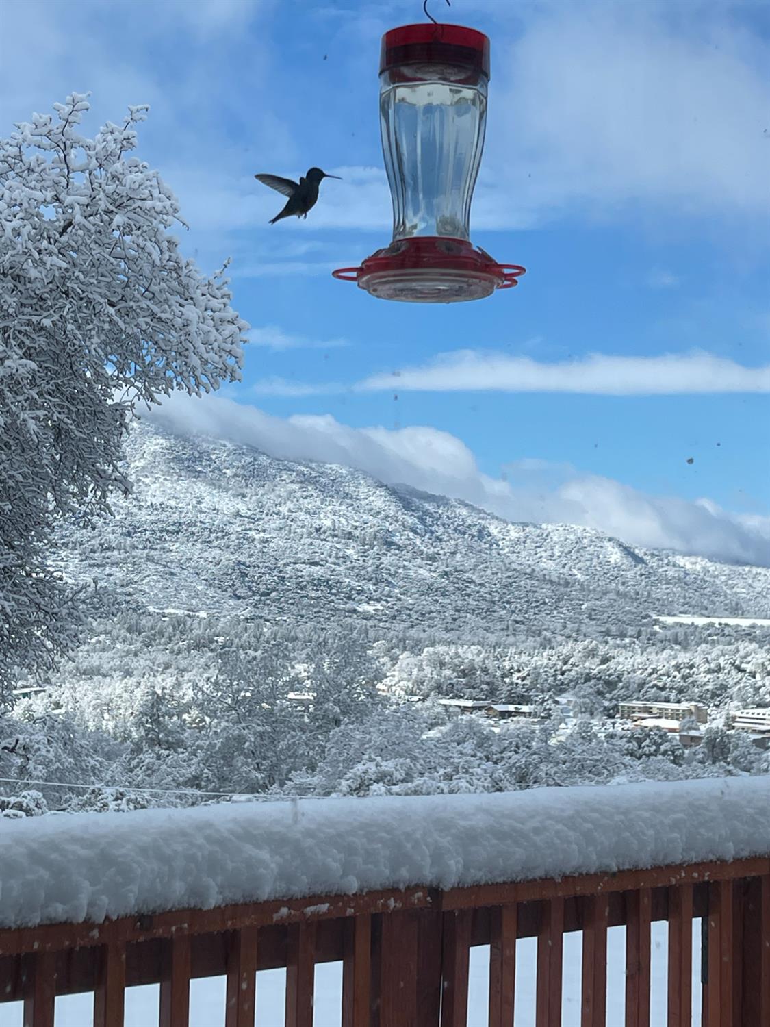 40733 Big Oak Flat Road North Oakhurst, CA 93644 - Photo 72 of 73