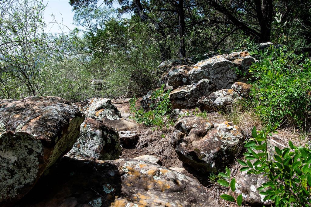 235 Big Bear Loop Strawn, TX 76475 - Photo 20 of 40 a view of a forest with lots of trees