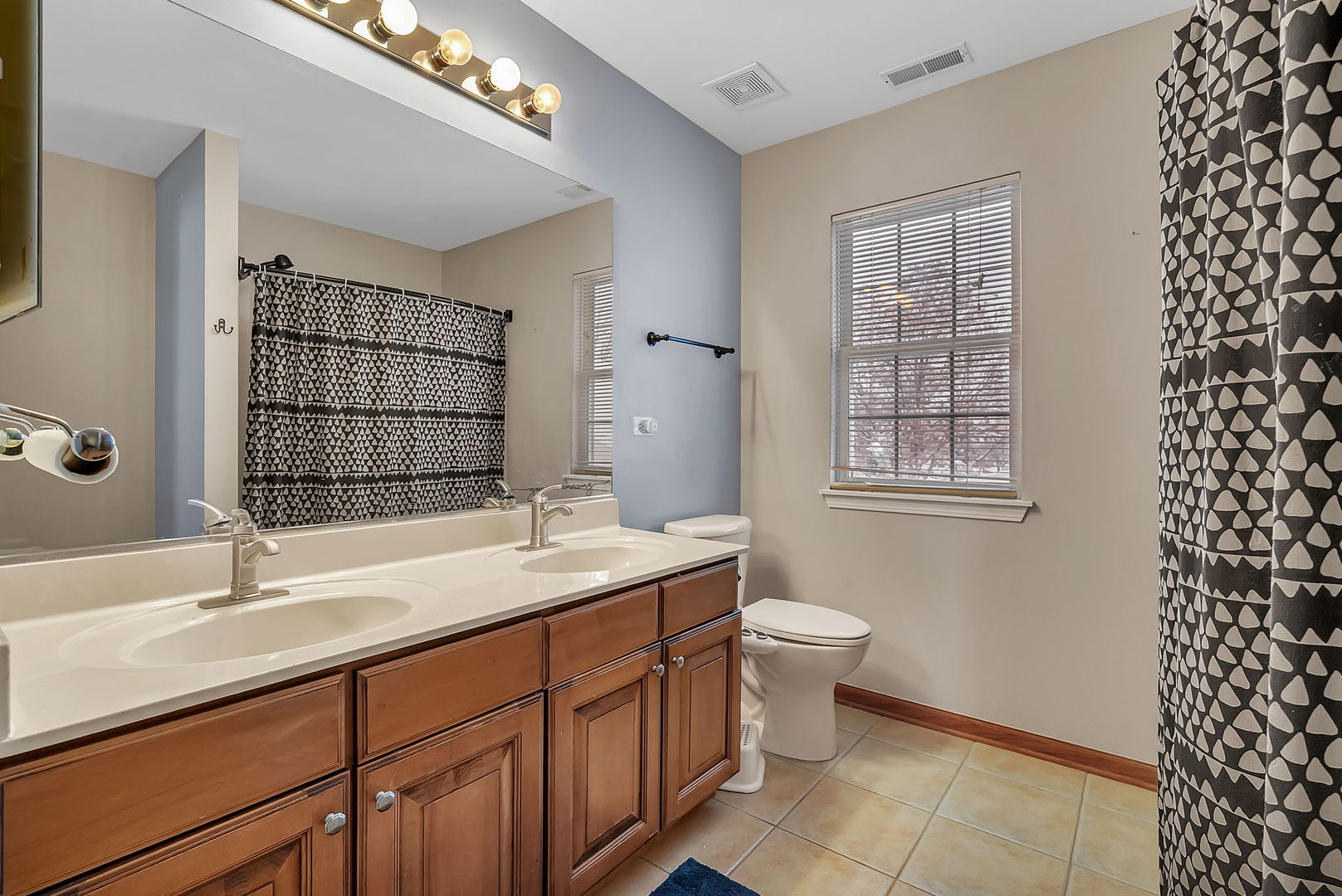 300 Wabena Court Minooka, IL 60447 - Photo 43 of 71 a bathroom with a sink toilet and shower