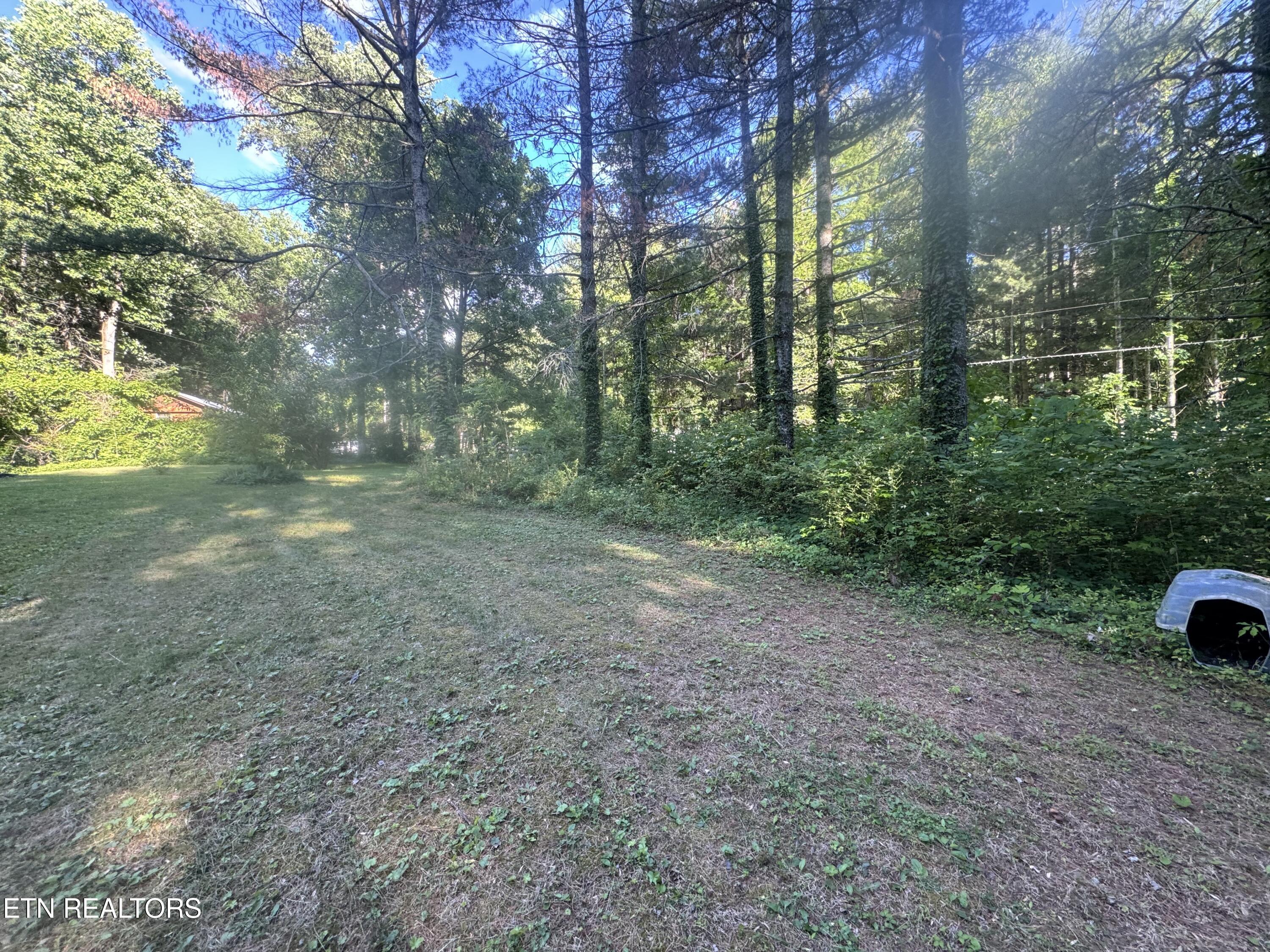 992 Chicken Hollow Road Newport, TN 37821 - Photo 23 of 37 IMG_8595