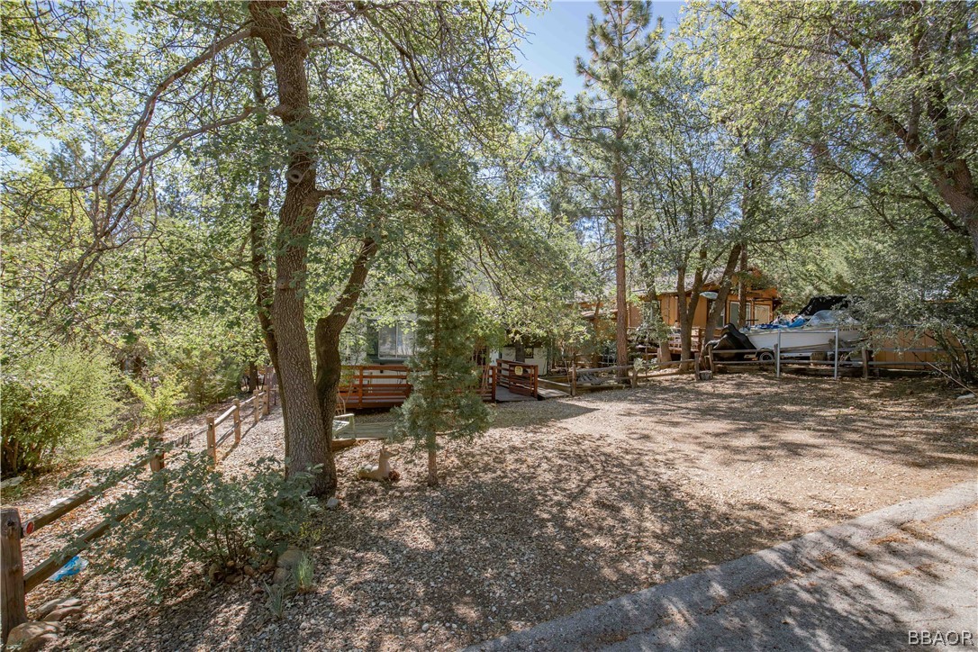 753 Maple Lane Sugarloaf, CA 92386 - Photo 3 of 42 a view of a tree in the middle of a yard