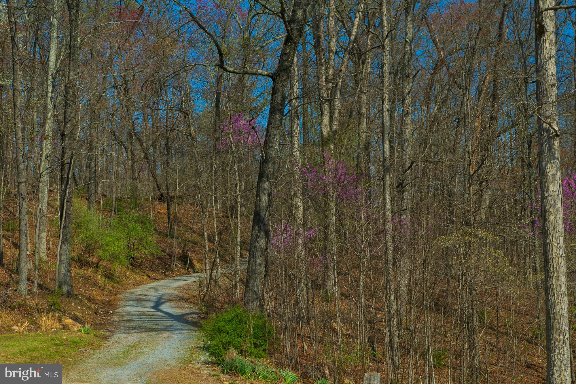 753 Seven Springs Road Charles Town, WV 25414 - Photo 30 of 128 Gallery Image 30