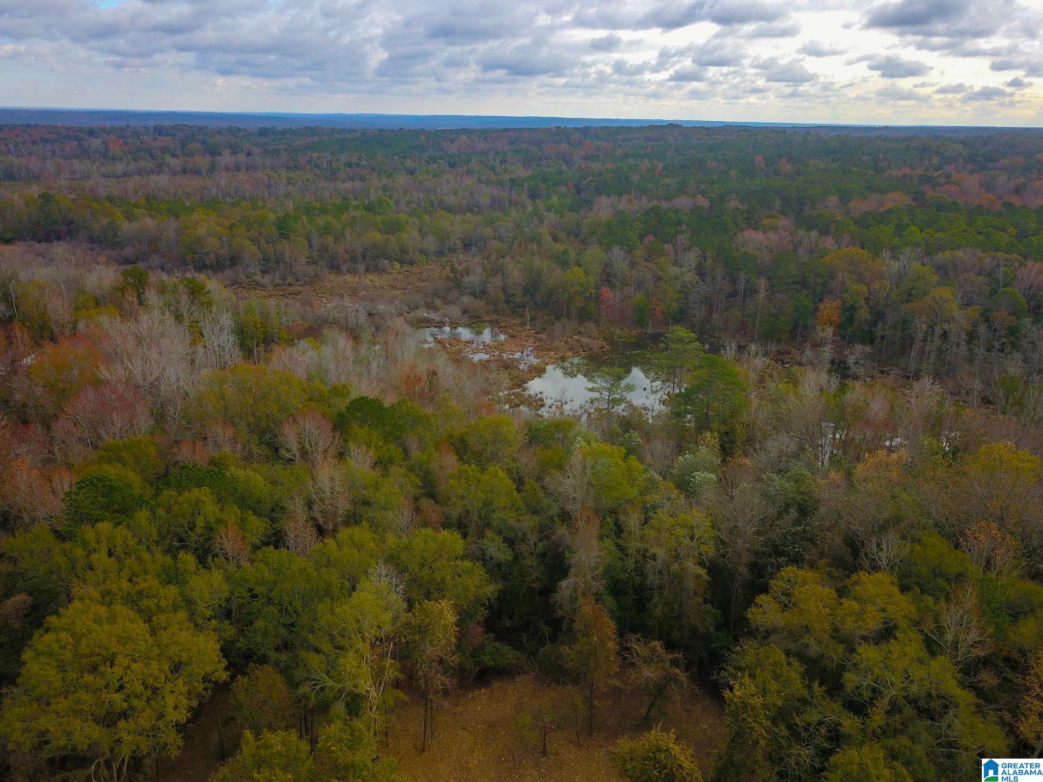 0 Midway Road Tuskegee, AL 36083 - Photo 29 of 30