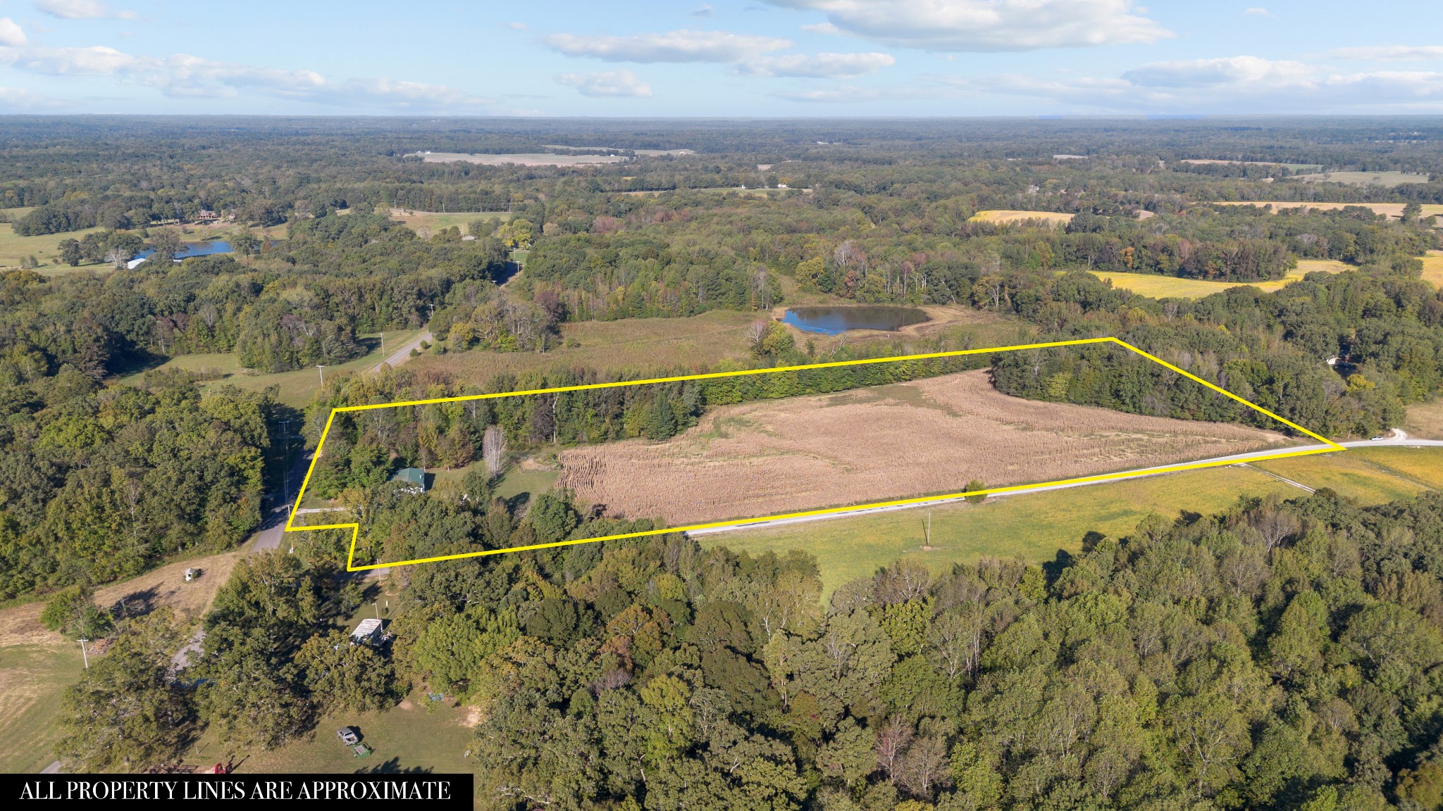 2164 Cedar Grove Road Big Sandy, TN 38221 - Photo 5 of 51 an aerial view of a house