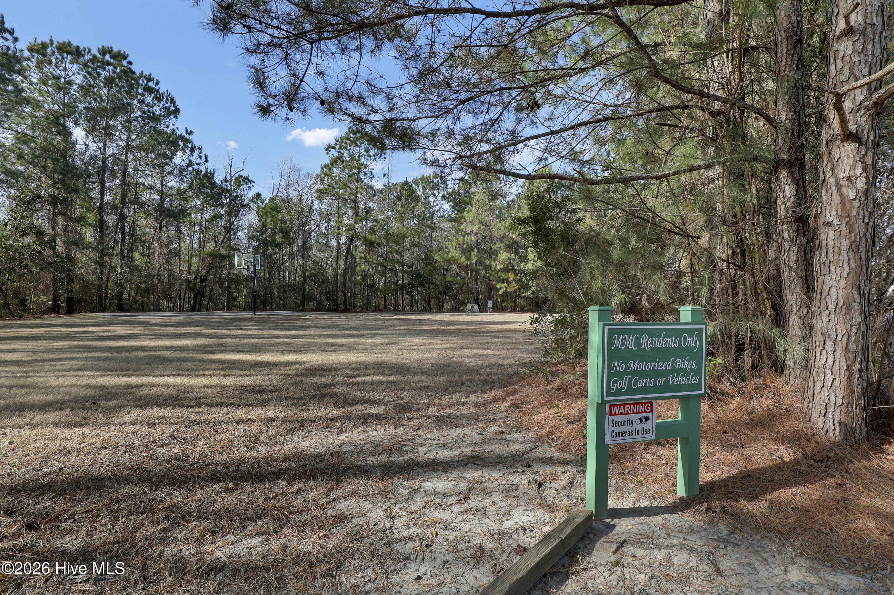 39 Excalibur Point Hampstead, NC 28443 - Photo 62 of 63 59