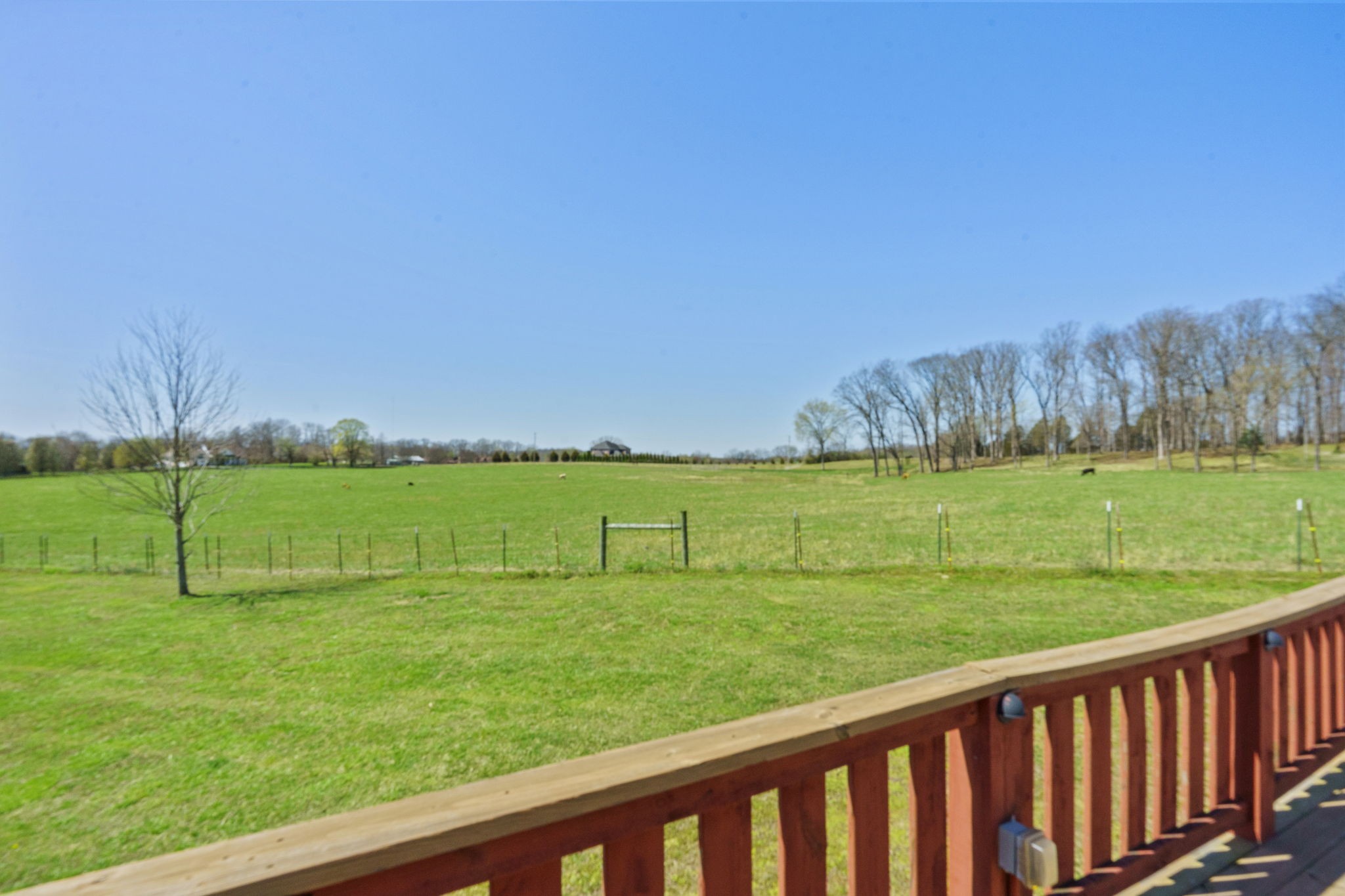 4556 Wills Road Cross Plains, TN 37049 - Photo 30 of 64 Gallery Image 30