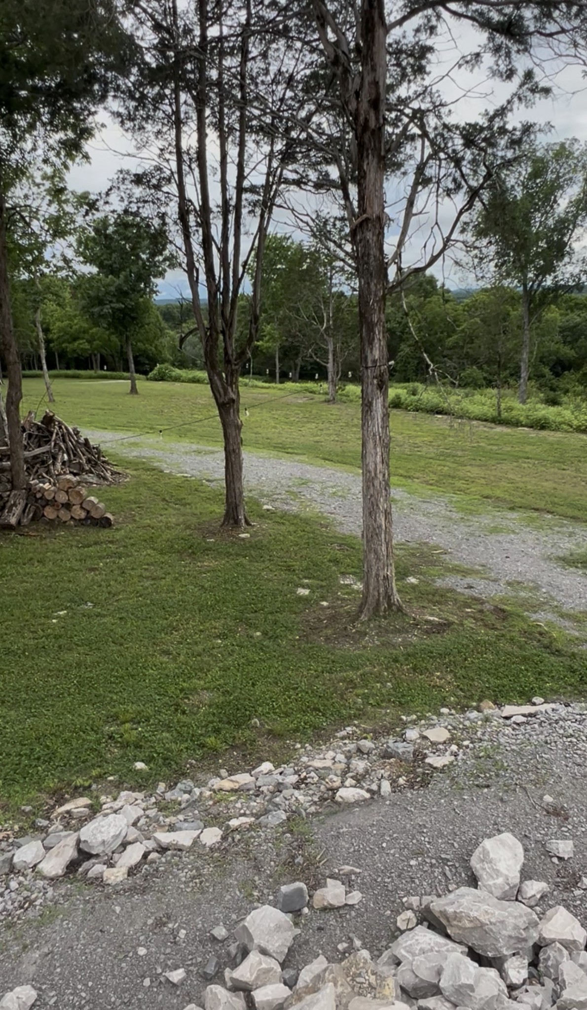 8434 Covington Road Eagleville, TN 37060 - Photo 2 of 12 a view of a park