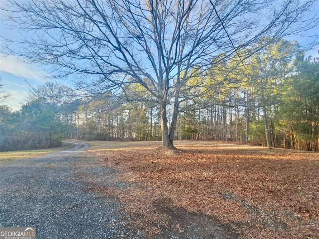 873 East Point Road Cedartown, GA 30125 - Photo 12 of 15