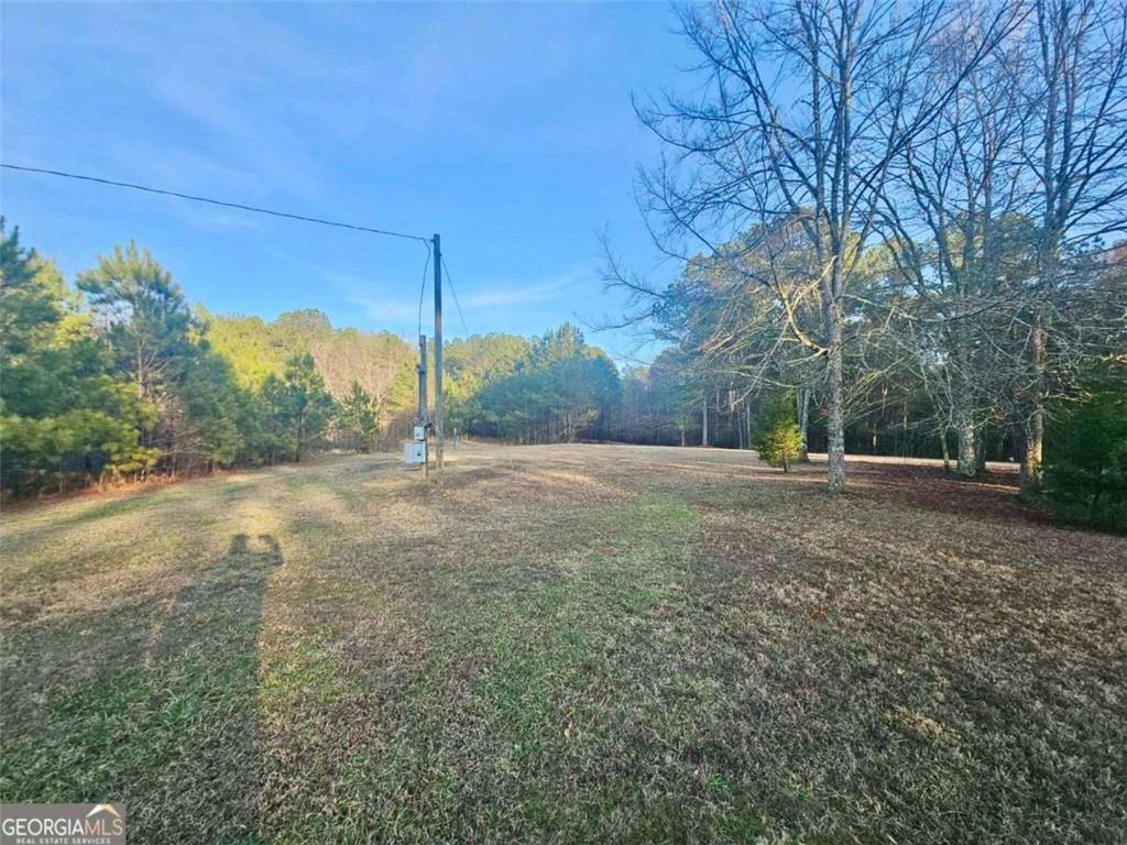 873 East Point Road Cedartown, GA 30125 - Photo 13 of 15