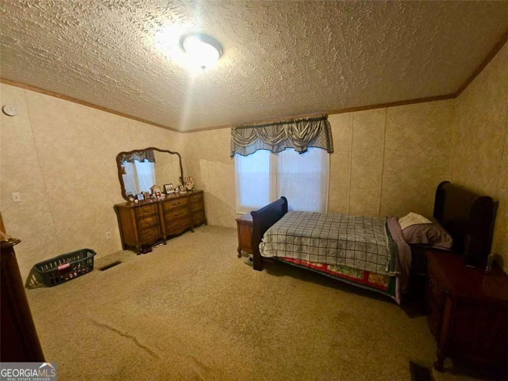 873 East Point Road Cedartown, GA 30125 - Photo 7 of 15
