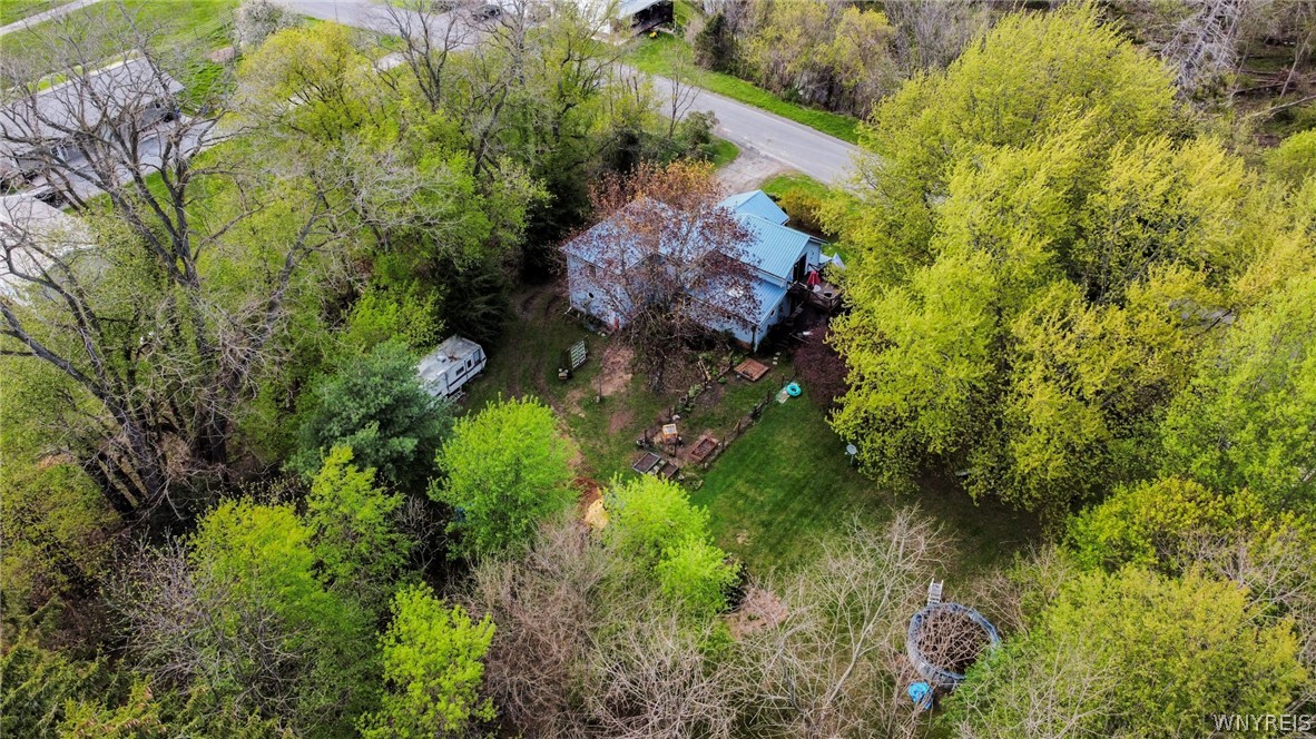 10246 Mill Road Ridgeway, NY 14103 - Photo 37 of 47