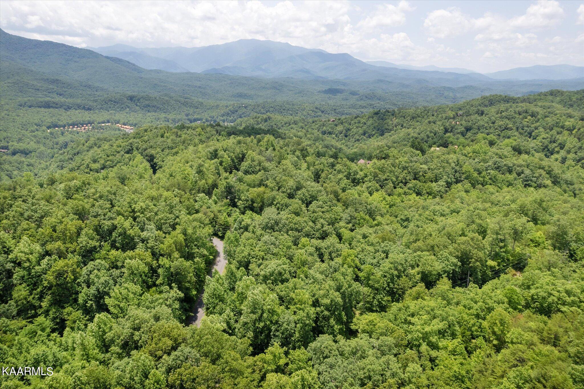 714 Pinnacle Vista Road Gatlinburg, TN 37738 - Photo 11 of 11 11-DJI_0022