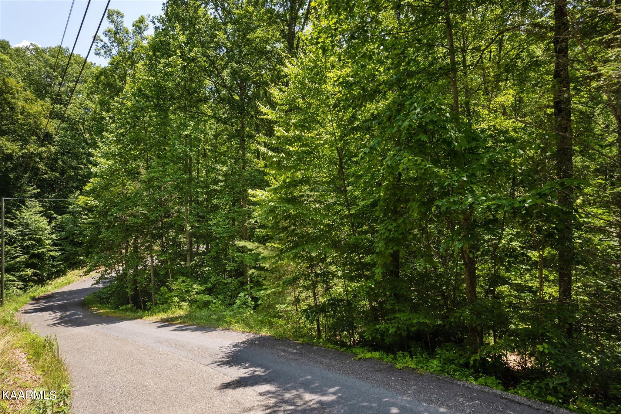 714 Pinnacle Vista Road Gatlinburg, TN 37738 - Photo 2 of 11 01-DJI_0029-2