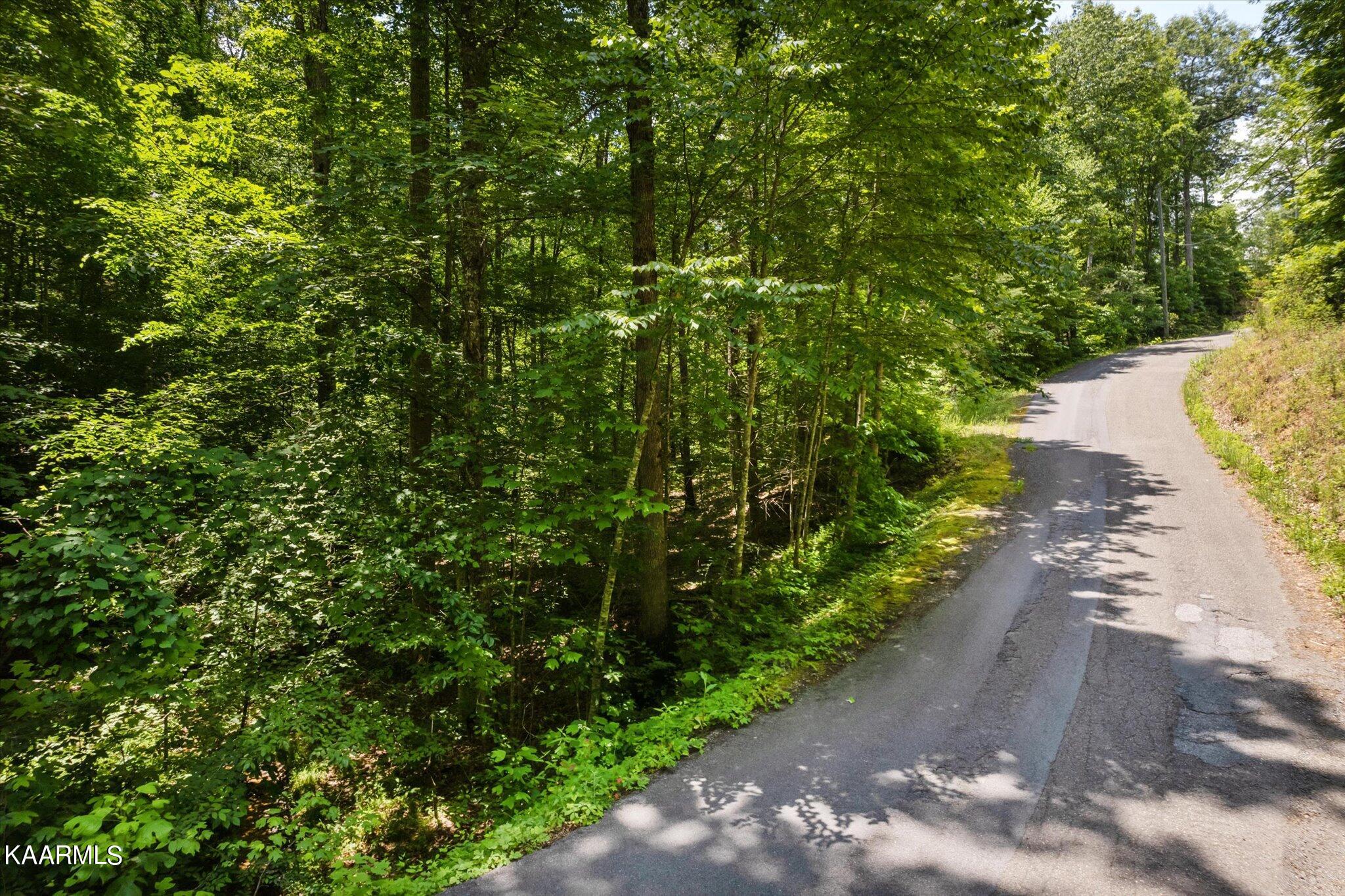 714 Pinnacle Vista Road Gatlinburg, TN 37738 - Photo 3 of 11 02-DJI_0034-2