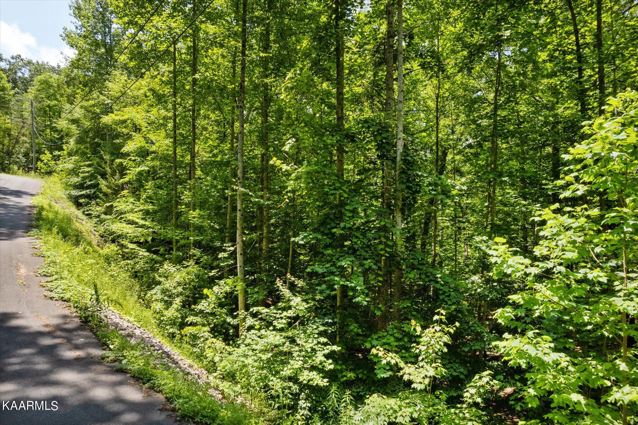 714 Pinnacle Vista Road Gatlinburg, TN 37738 - Photo 4 of 11 03-DJI_0039-2