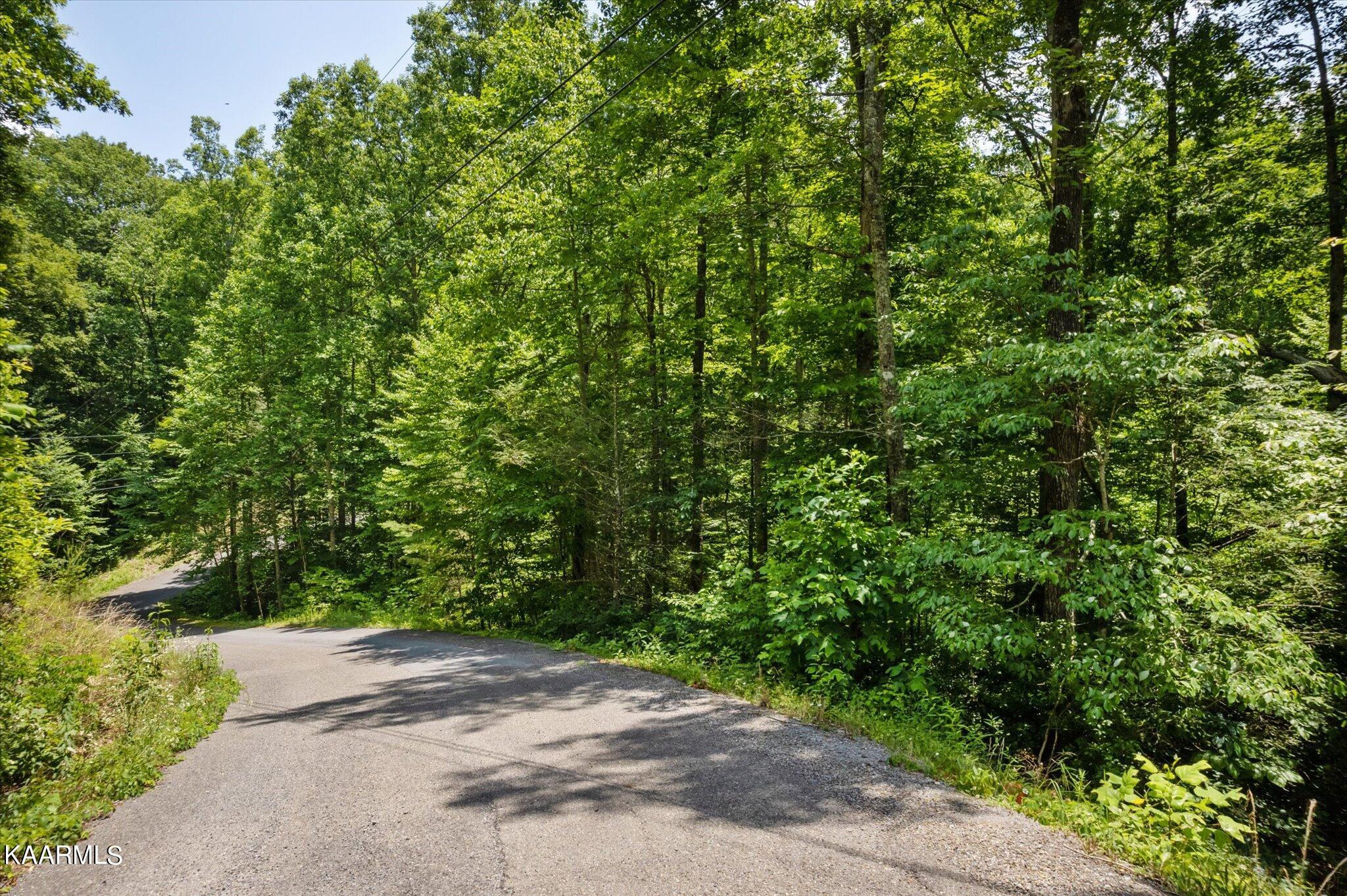 714 Pinnacle Vista Road Gatlinburg, TN 37738 - Photo 5 of 11 04-DJI_0044-2