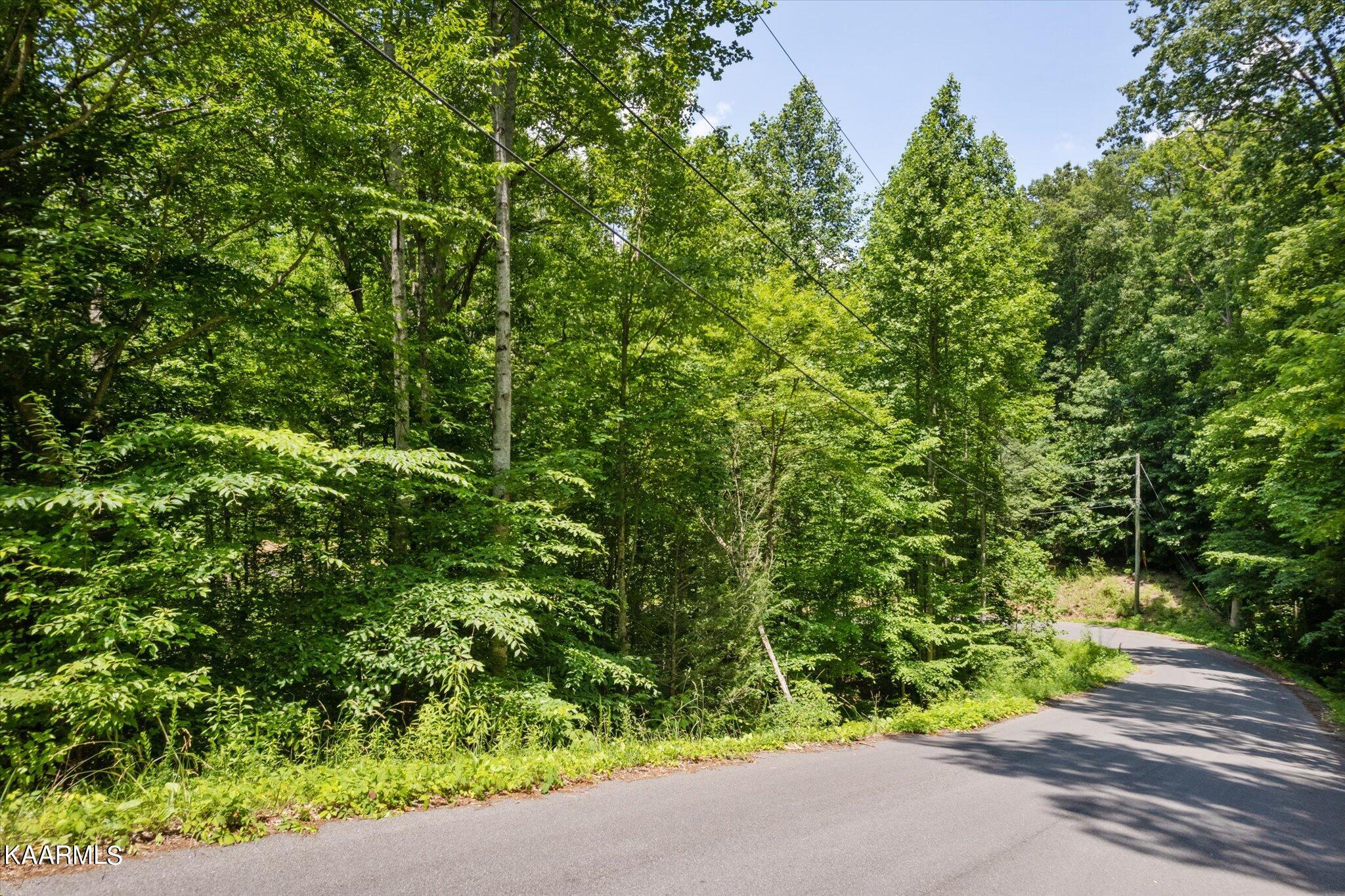 714 Pinnacle Vista Road Gatlinburg, TN 37738 - Photo 6 of 11 05-DJI_0049-2