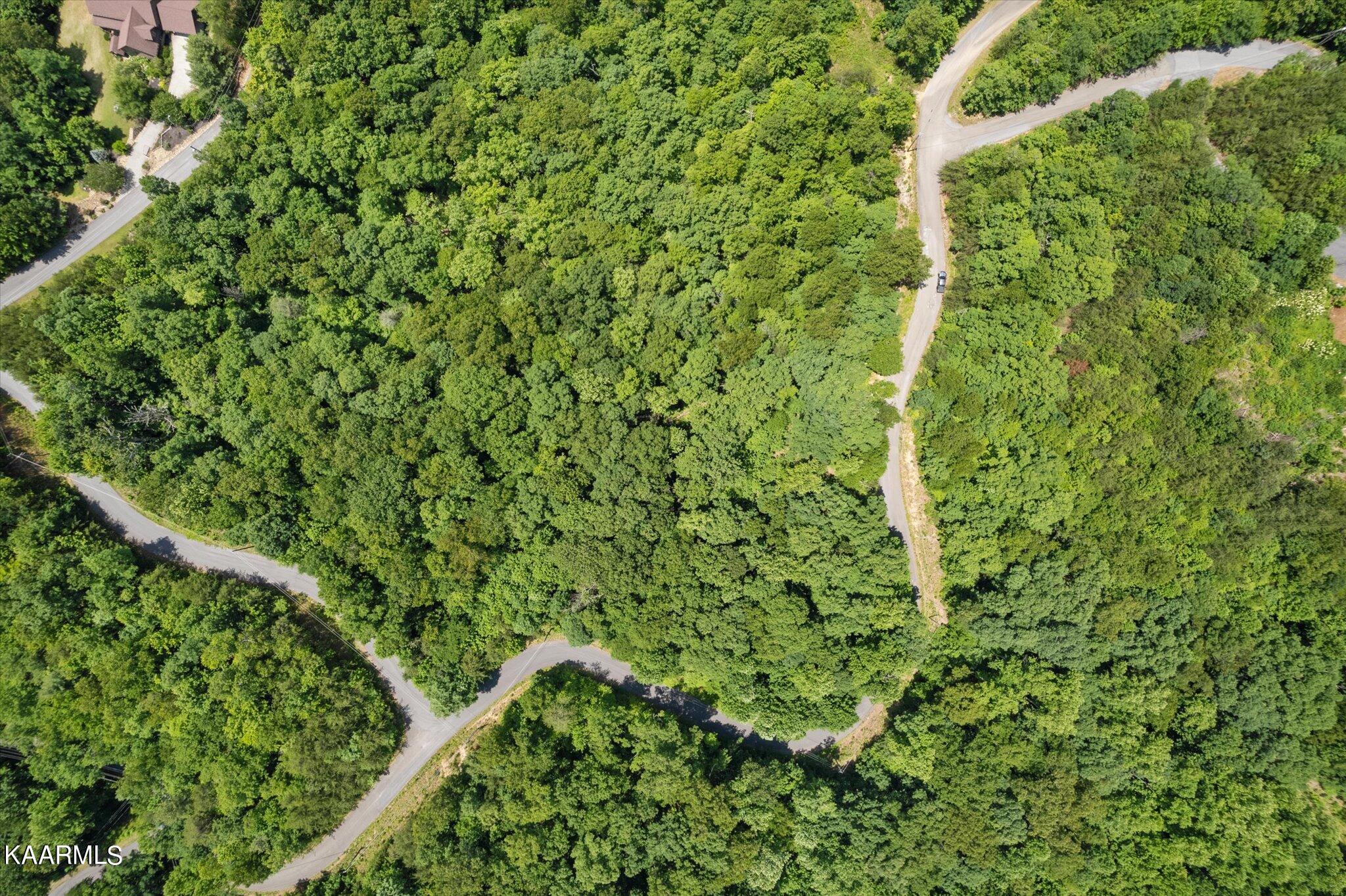 714 Pinnacle Vista Road Gatlinburg, TN 37738 - Photo 7 of 11 06-DJI_0002-2