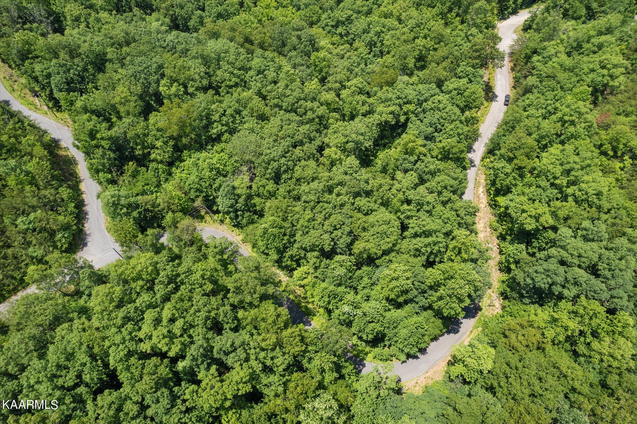 714 Pinnacle Vista Road Gatlinburg, TN 37738 - Photo 8 of 11 08-DJI_0007-2