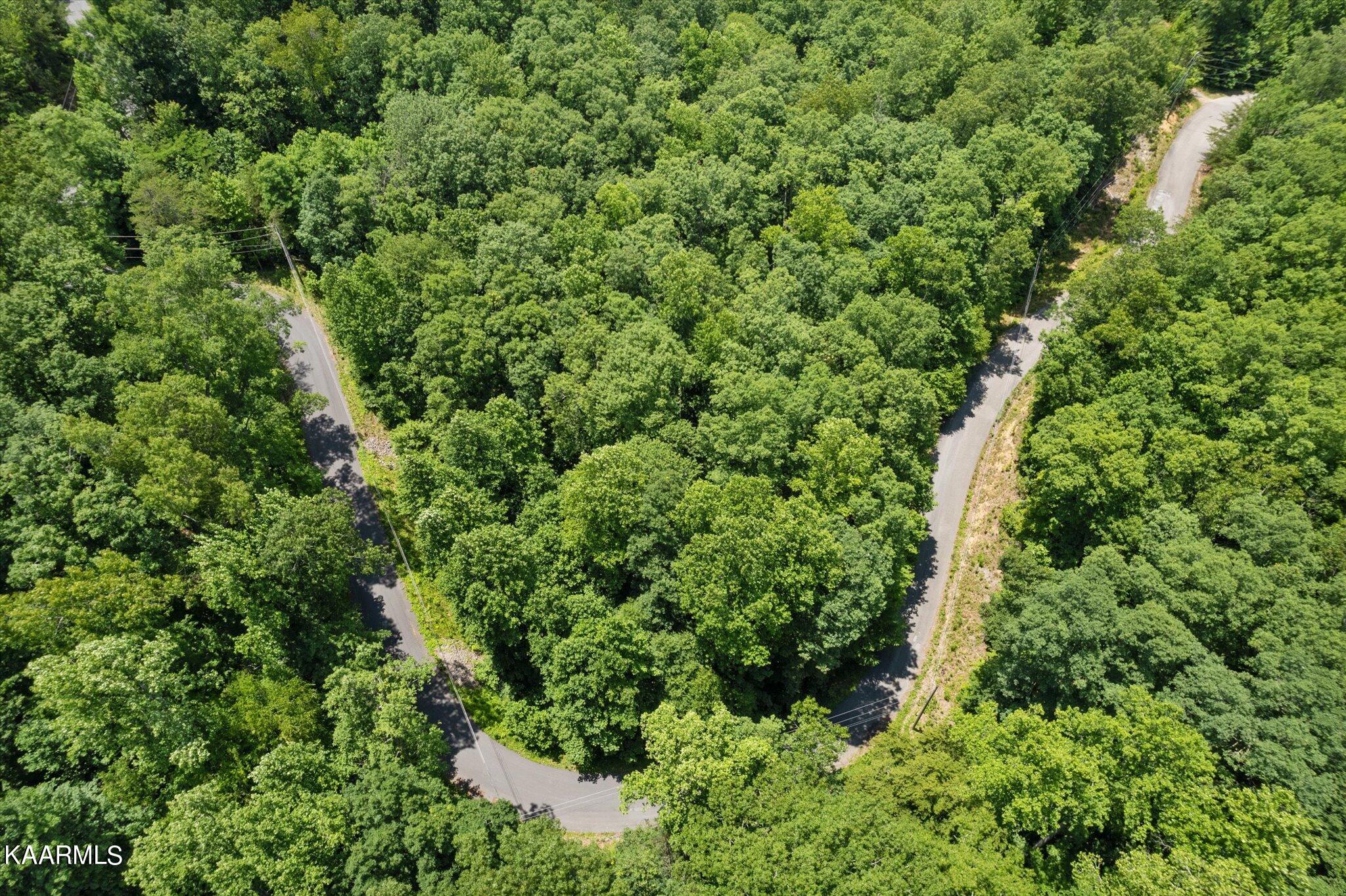 714 Pinnacle Vista Road Gatlinburg, TN 37738 - Photo 9 of 11 09-DJI_0012-2