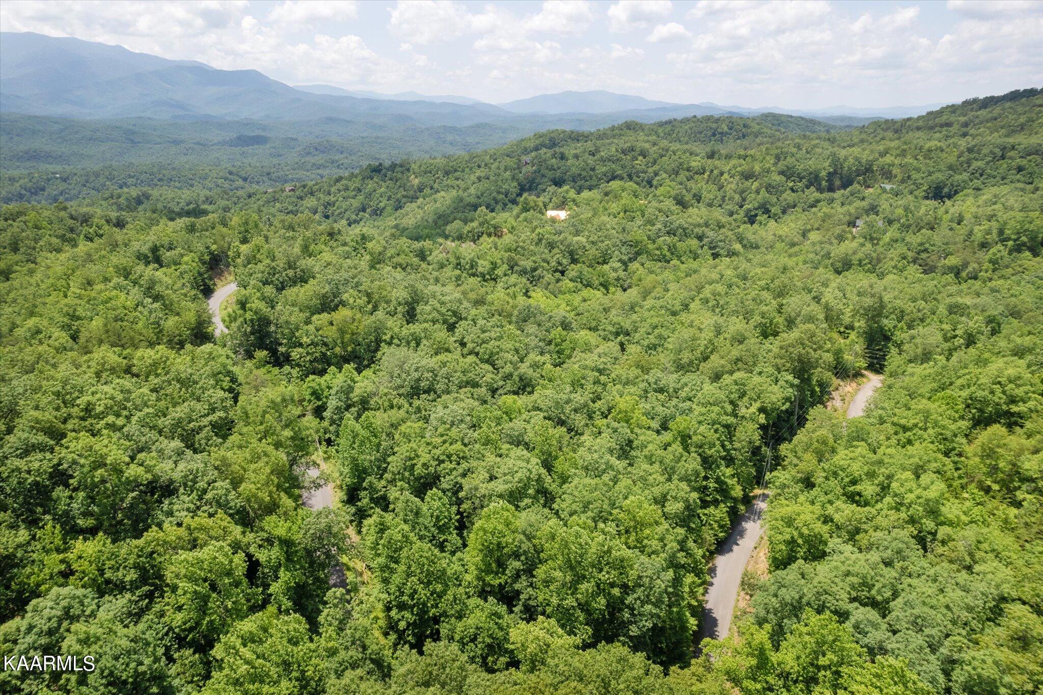 714 Pinnacle Vista Road Gatlinburg, TN 37738 - Photo 10 of 11 10-DJI_0017