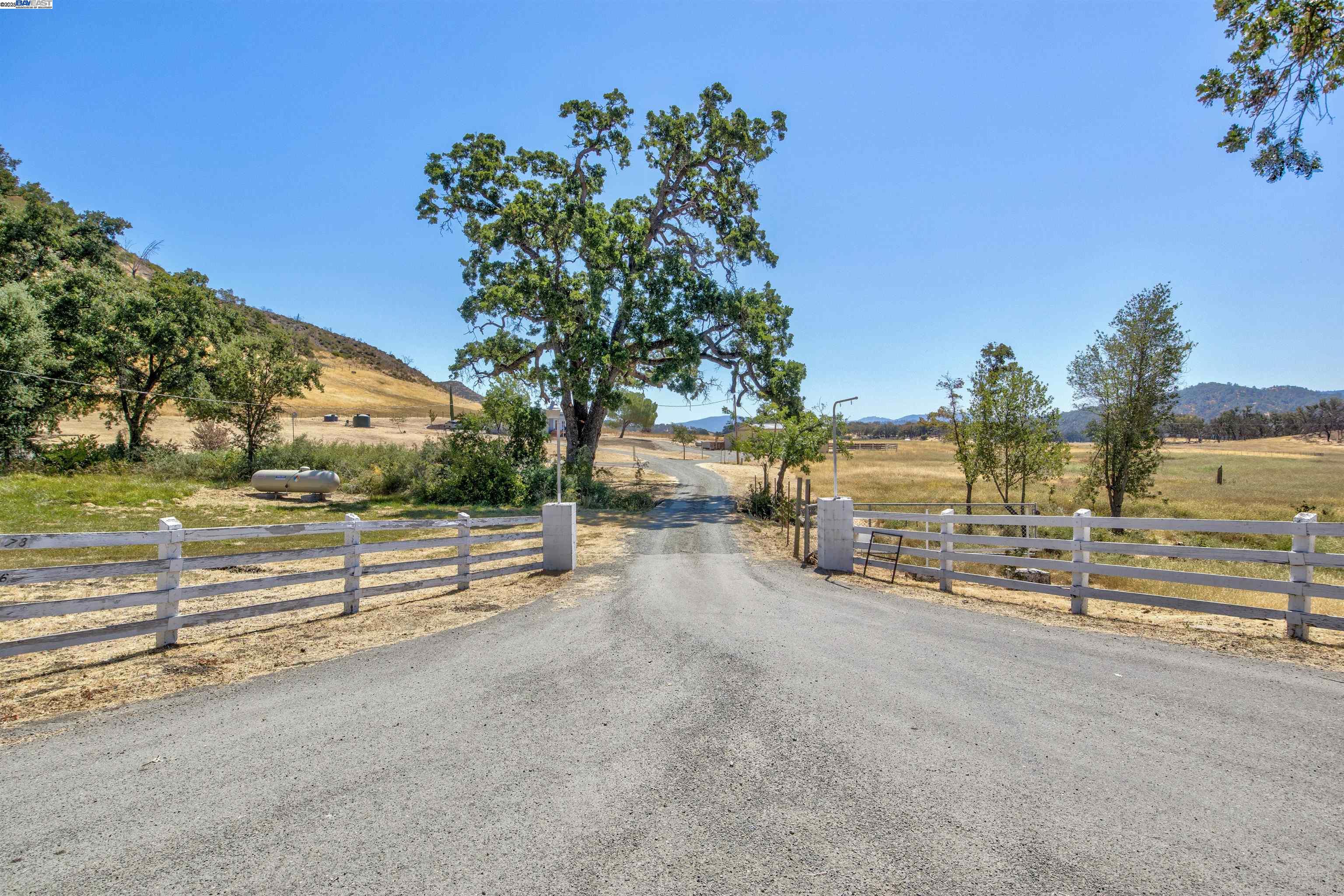 7878 Butts Canyon Road Pope Valley, CA 94567 - Photo 2 of 28 a view of a yard with an outdoor space