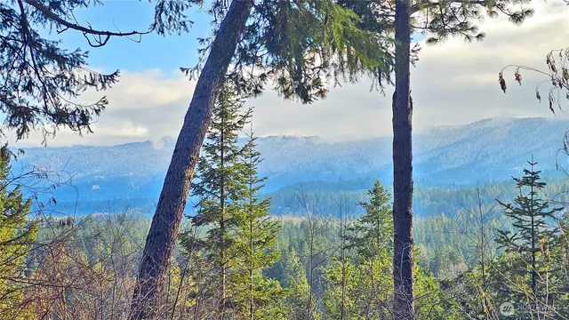 a view of a lake with a mountain in the background