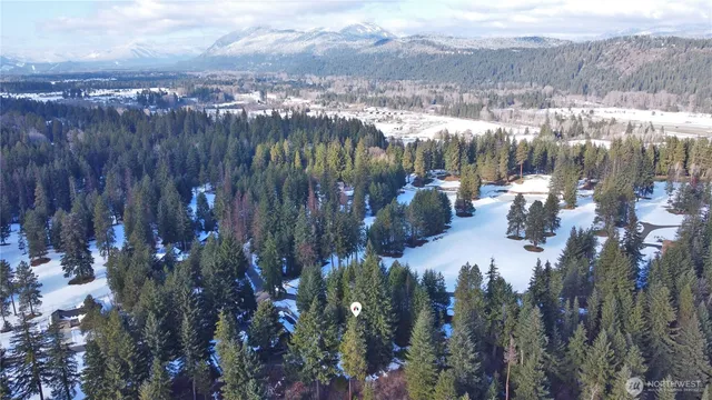 a view of a yard with plants