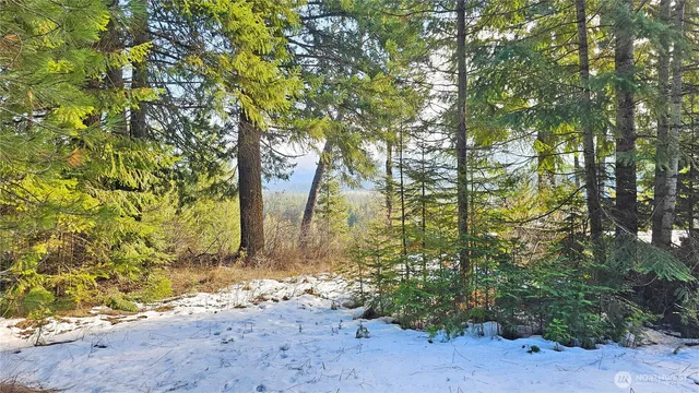 a street view covered with snow