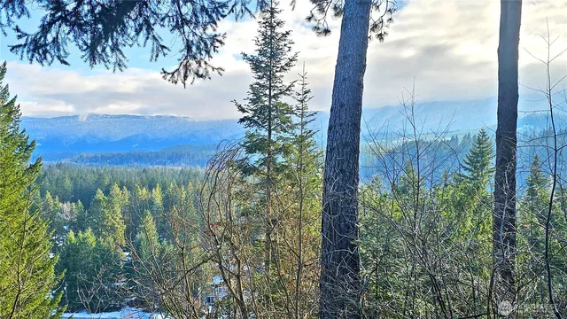 a backyard of a house with a tree