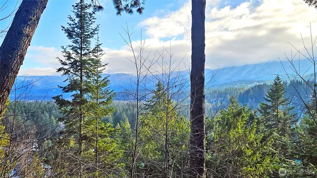 a view of a lake in middle of forest