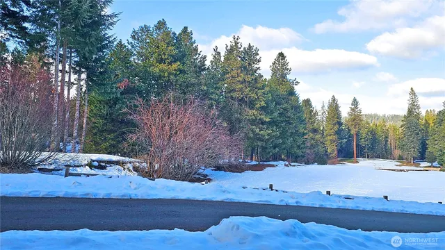 a view of a backyard with large trees