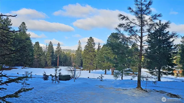 a view of a backyard