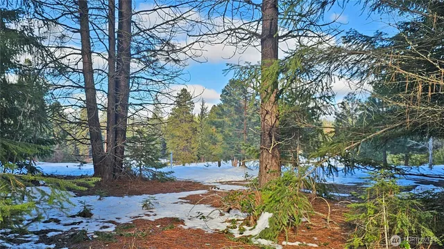 a view of a backyard of a house