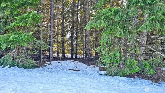 a view of outdoor space with trees