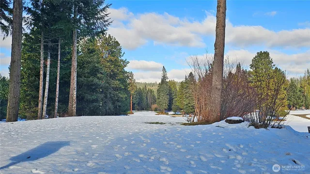 a view of a backyard of a house