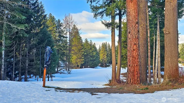 a view of a backyard of a house