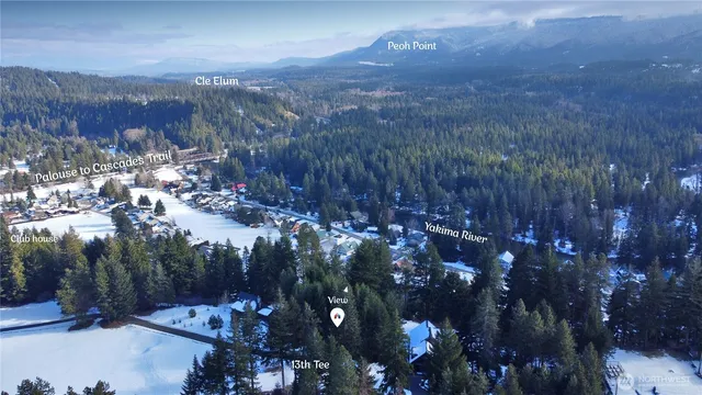 a view of a lake in middle of forest