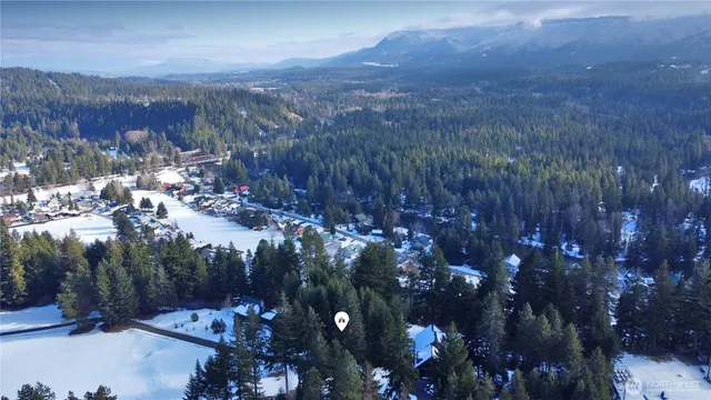a view of a yard with plants and trees