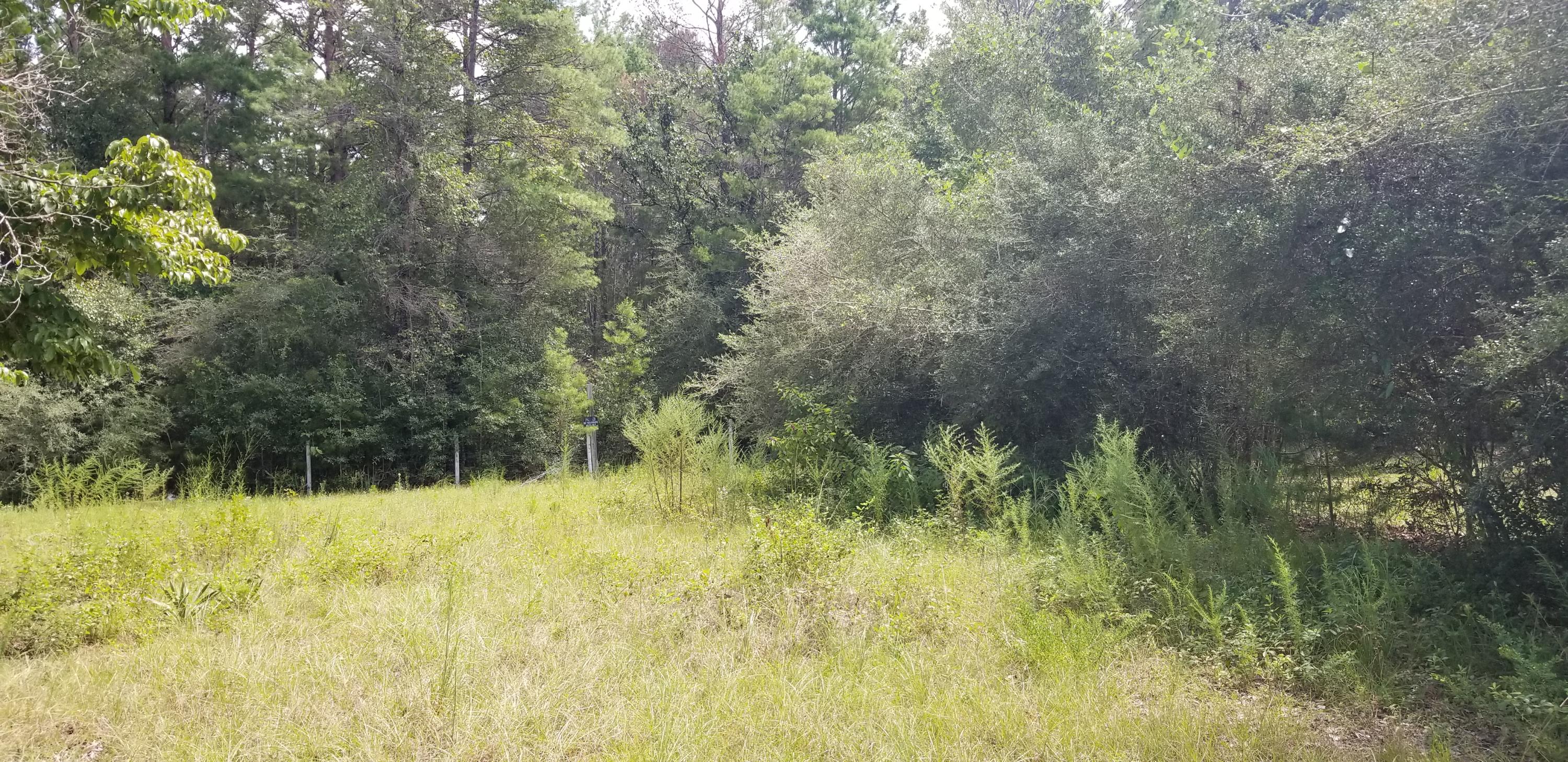 4352 Rebecca Road Crestview, FL 32539 - Photo 3 of 6 a view of a yard
