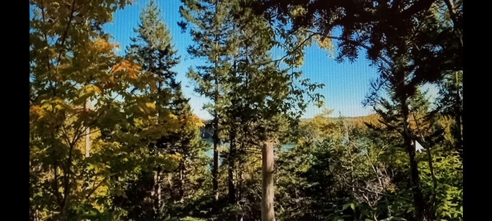 0 Lead Mine Road Lubec, ME 04652 - Photo 3 of 5 Lead Mine Rd.-Lot 2-1 & 2-1