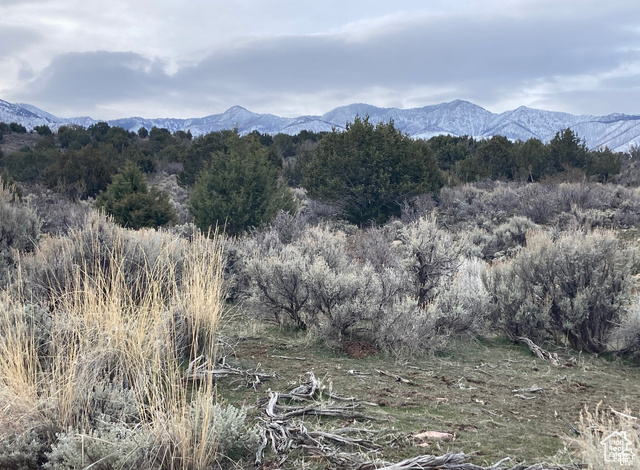 825 East 800th Street South Fillmore, UT 84631 - Photo 13 of 18