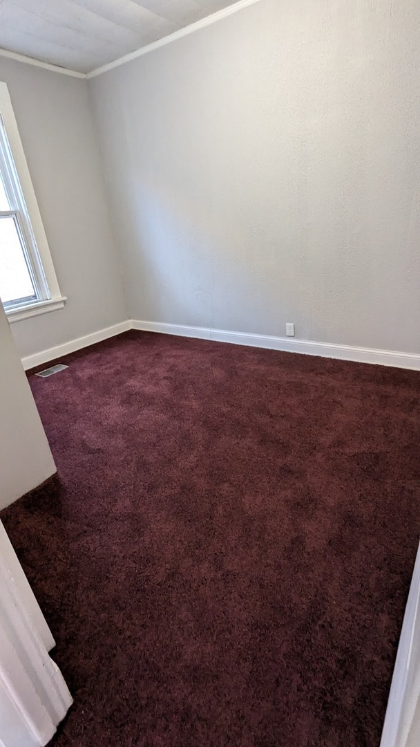 8817 South Elizabeth Street Chicago, IL 60620 - Photo 16 of 17