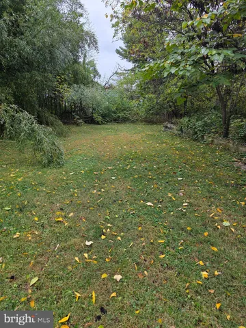a view of a green field with lots of bushes