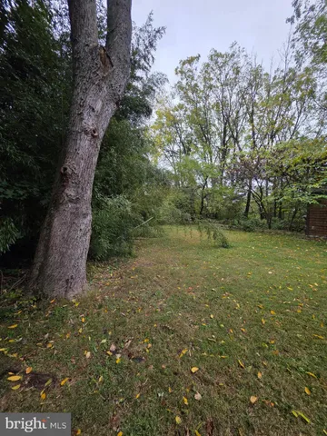 a view of a field with trees