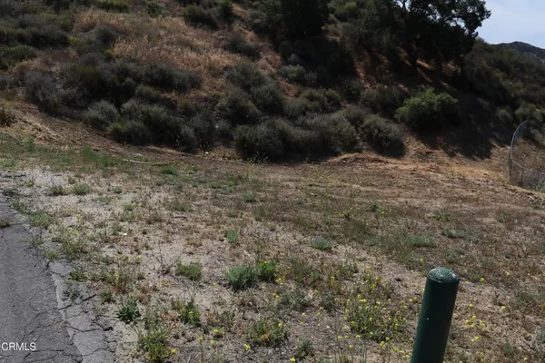 a view of outdoor space and tree