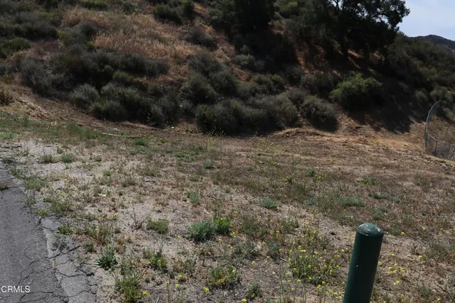 a view of outdoor space and tree