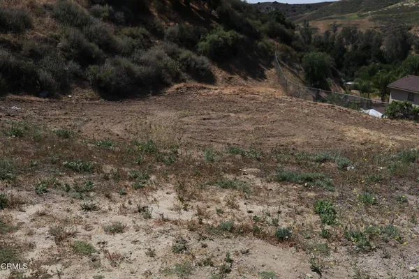 a view of a dry yard with green space